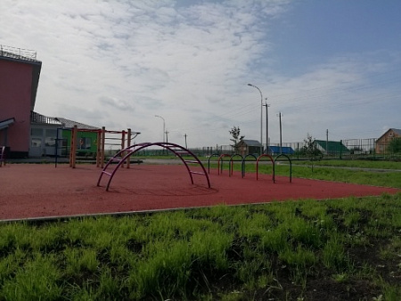 ИО 08161 Лаз Переход фиолетовый